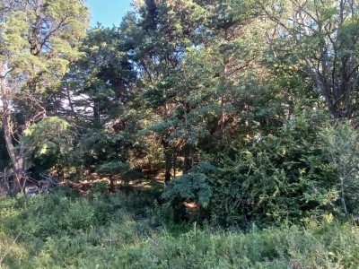 Terreno en Tanti Lomas 